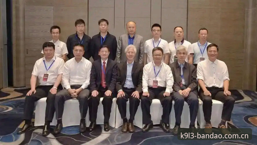 半岛体育平台电脑版最新动态：多版本对比解析，用户选择迎来新思路
